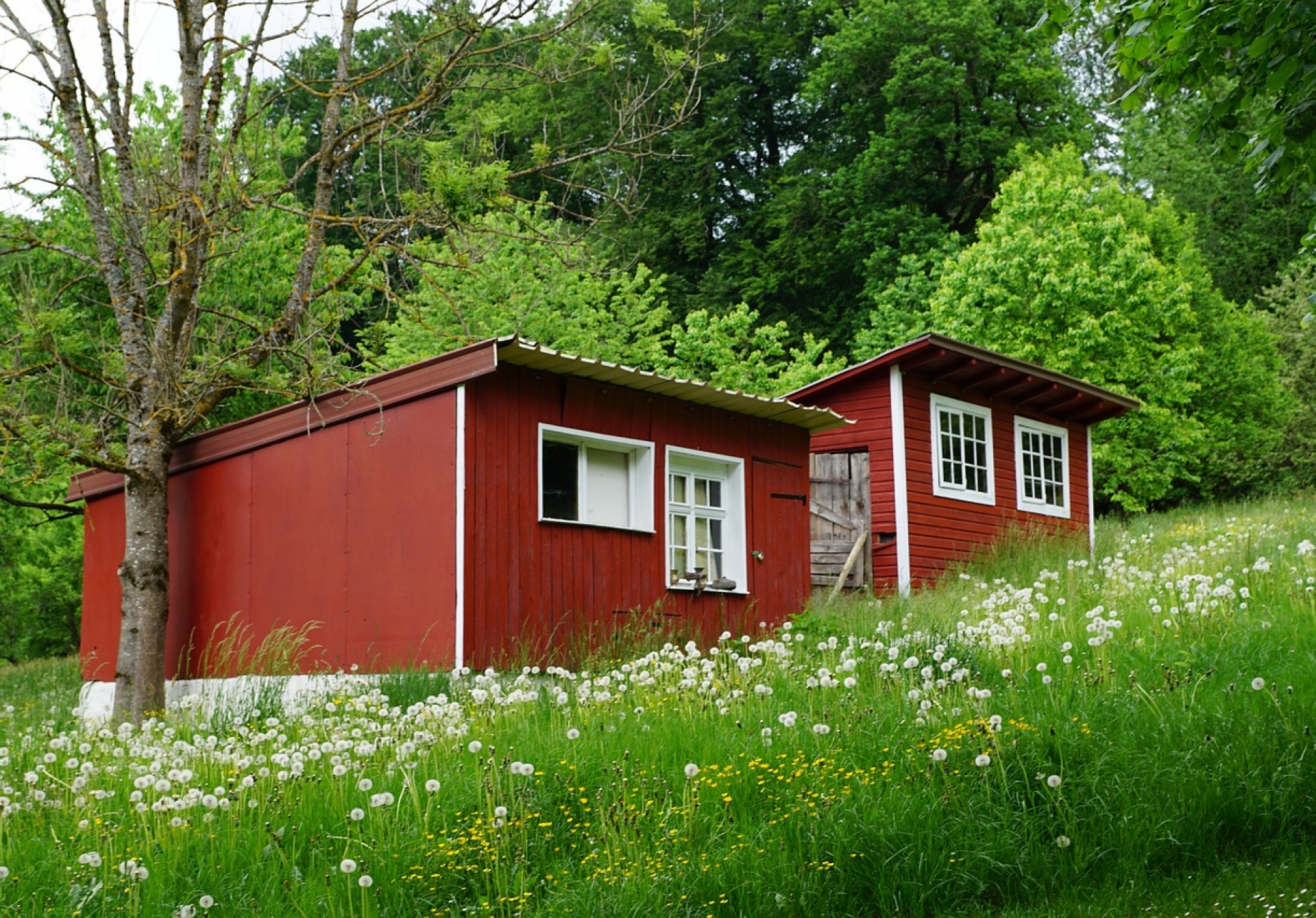 Un contrat de location d'un an pour un emplacement de mobile-home n'est pas abusif