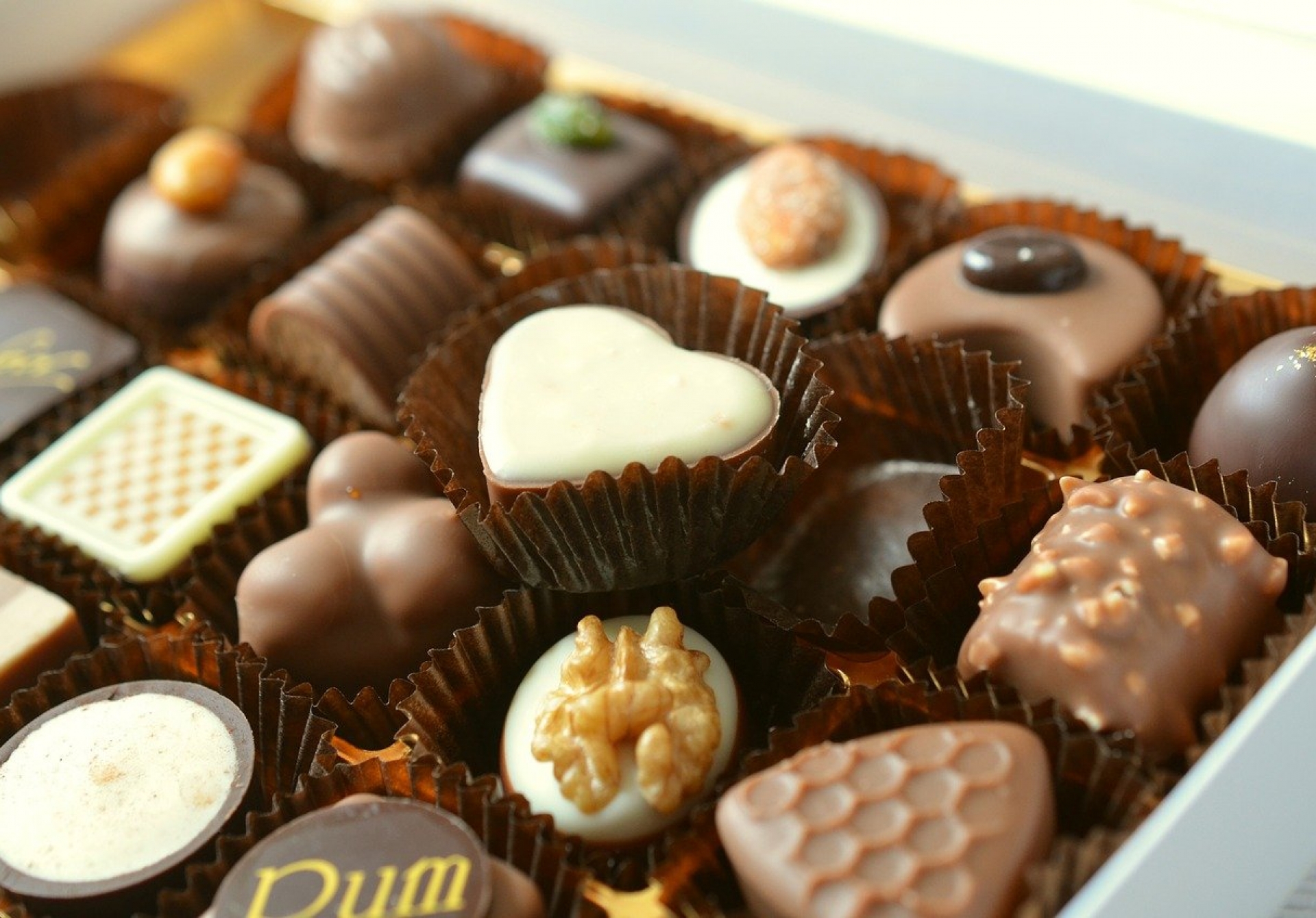 Chocolat au lait, gianduja, chocolat noir... comment bien choisir son chocolat ?